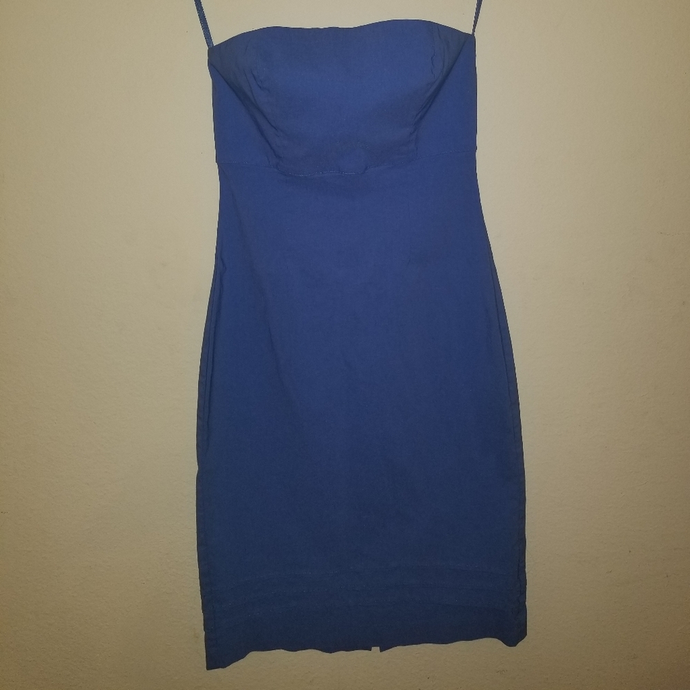 Express Strapless Dress